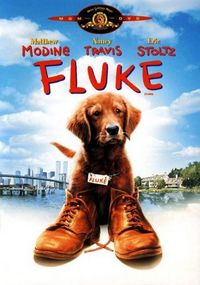 Флюк (1995)