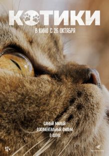 Котики (2022)